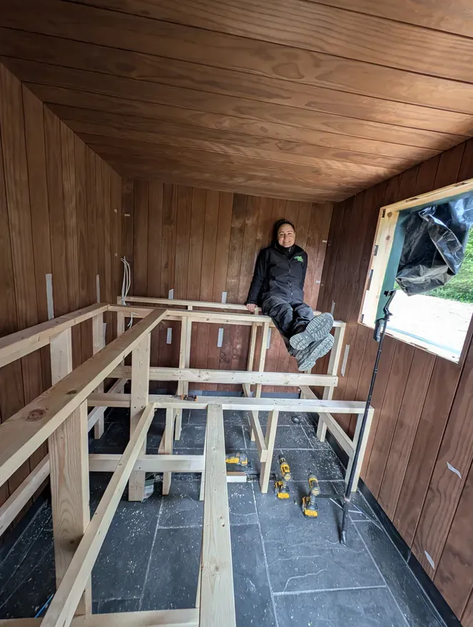 Deck and steps